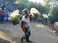 raccoglitori di zolfo